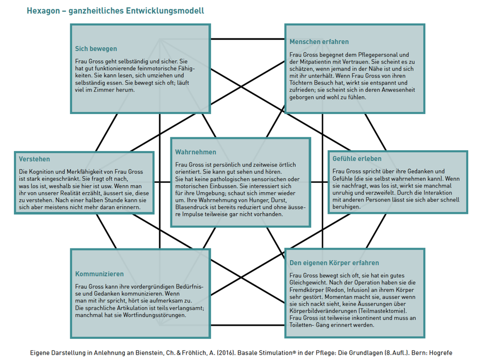 Hexagon – ganzheitliches Entwicklungsmodell.
